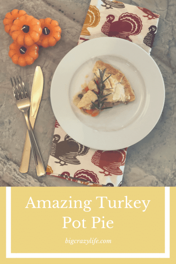 Amazing Turkey Pot Pie