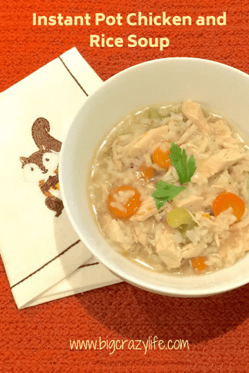 Quick and Easy Instant Pot Chicken Soup