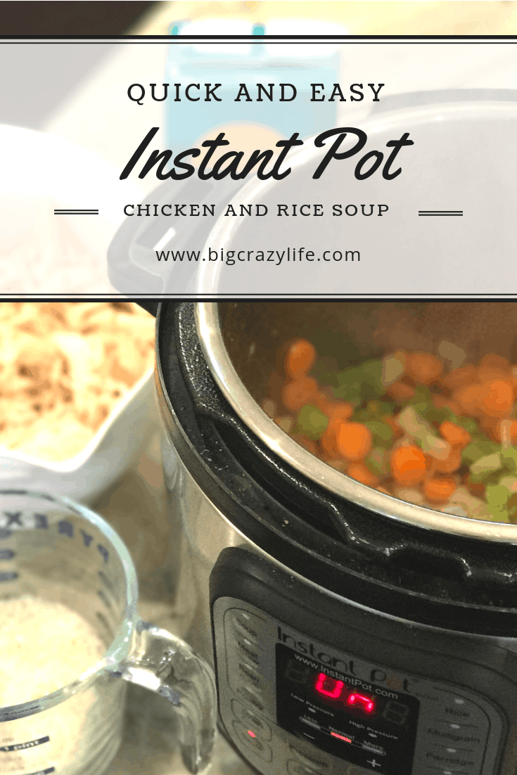Should I buy an Instant Pot? Is it really worth the hype?