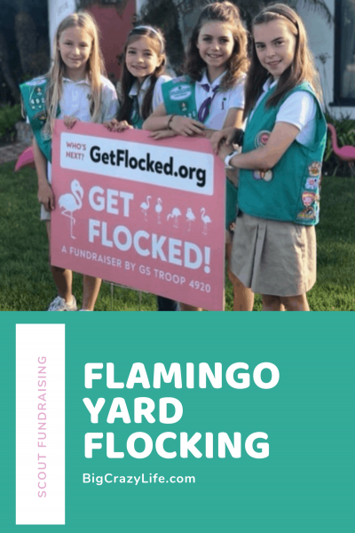 Flamingo yard flocking