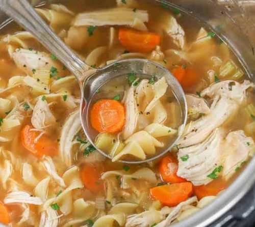 chicken noodle soup