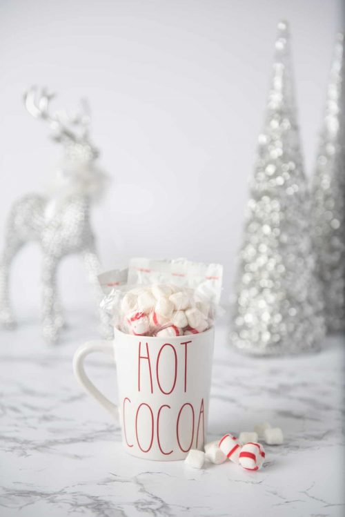 Hot Cocoa mug
