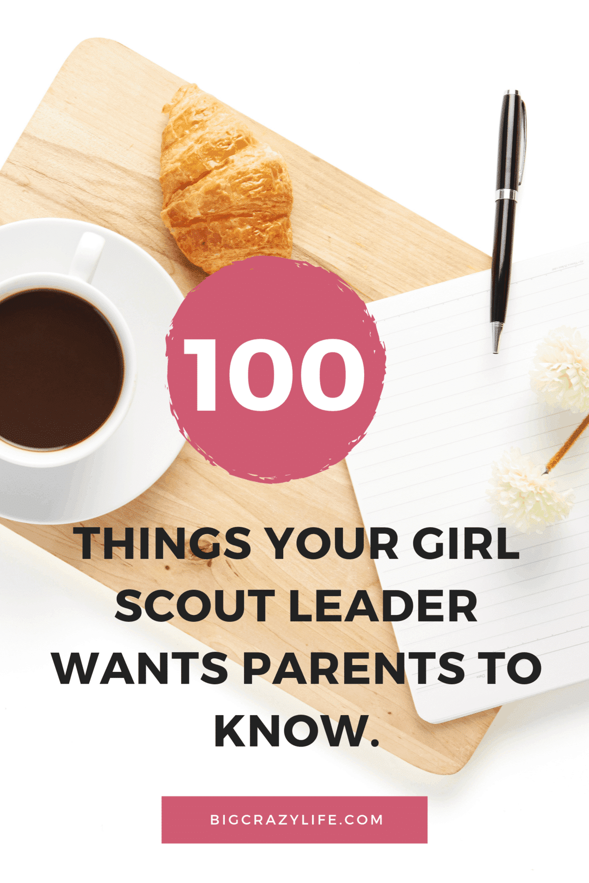 100 Things Your Girl Scout Leader Wants You To Know   BigCrazyLife