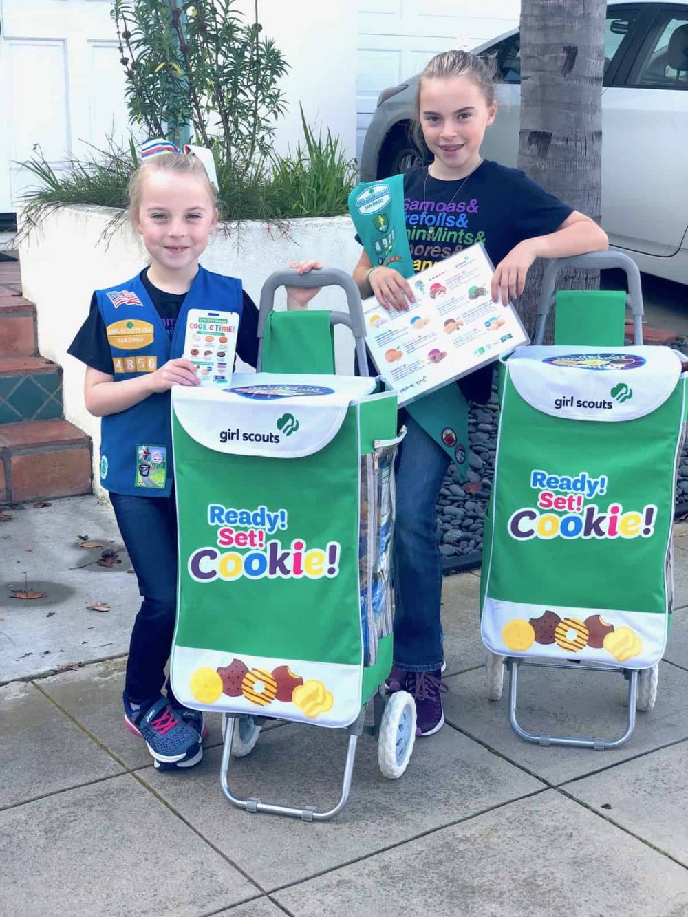 Girl Scout Cookie Cart