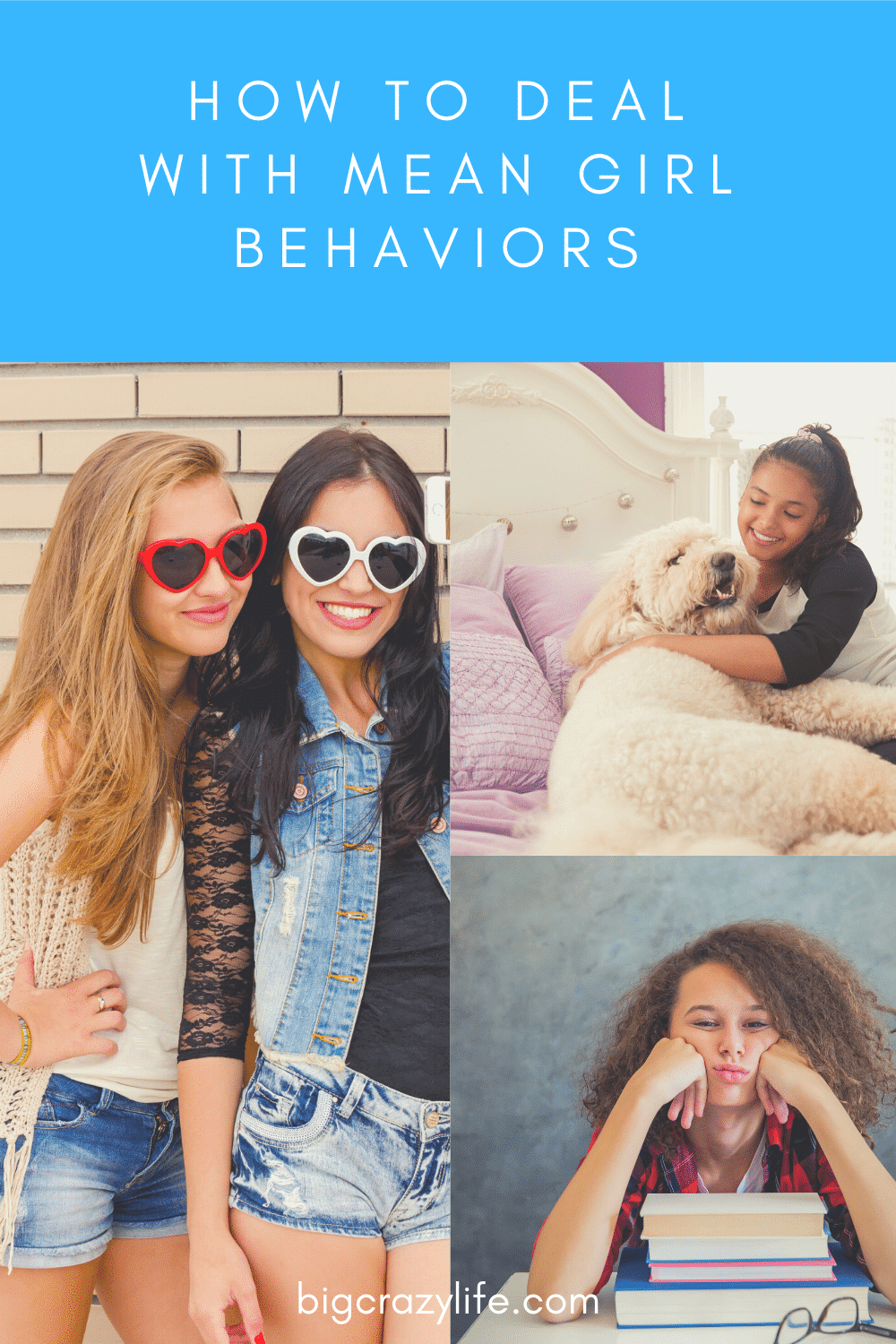 Dealing With Mean Girl Behavior In Elementary And Middle School Years Bigcrazylife