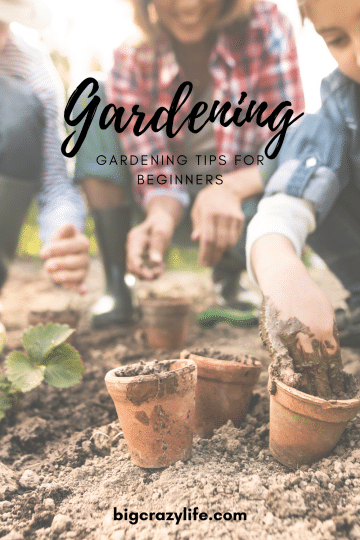 planing a garden