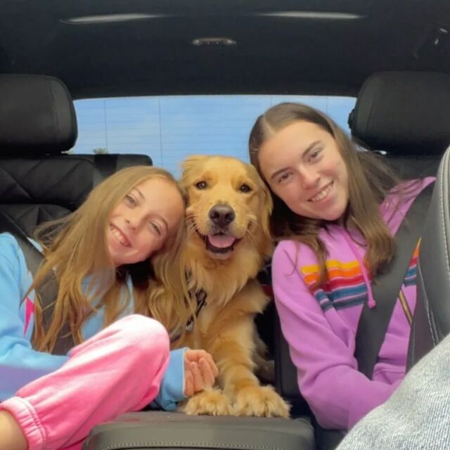 Beau loves car rides with the girls! #goldenretriever #puppylove